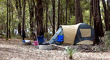 Lake Navarino Holiday Park - QLD Tourism 2