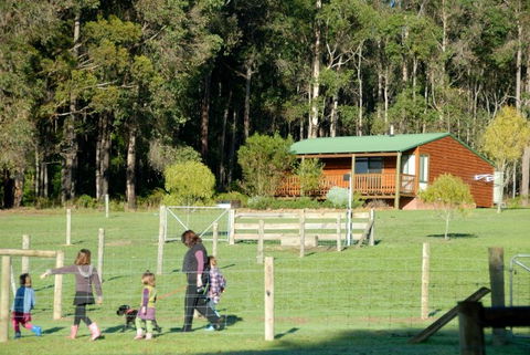 Diamond Forest Cottages Farmstay - QLD Tourism 0