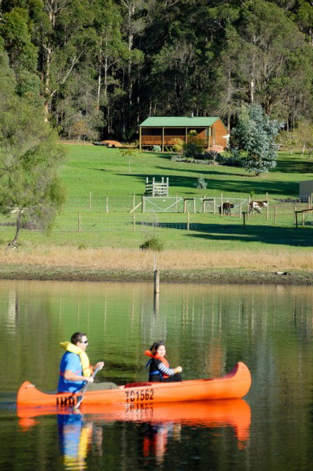 Diamond Forest Cottages Farmstay - QLD Tourism 2