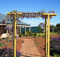 Lavendale Farmstay and Cottages - QLD Tourism