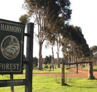 Harmony Forest - Queensland Tourism