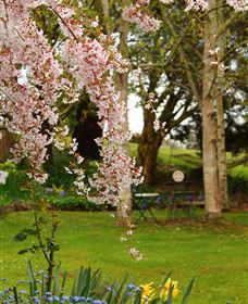 Beauty Point Cottages - QLD Tourism 2