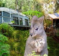 Huon Bush Retreats - QLD Tourism