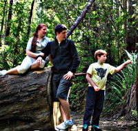 Tahune Airwalk Lodge - QLD Tourism