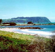 Beach Retreat Tourist Park - QLD Tourism