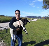 Hurlfield Farm Cottage - QLD Tourism