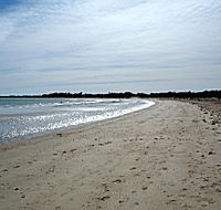 Greens Beach Caravan Park - QLD Tourism