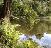 Weldborough Camping Ground - QLD Tourism
