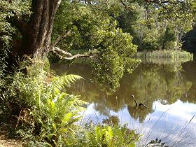 Weldborough Camping Ground - QLD Tourism 0