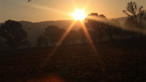Gentle Annie Caravan And Camping Reserve - QLD Tourism 1
