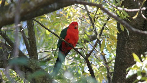 Gentle Annie Caravan And Camping Reserve - QLD Tourism 2