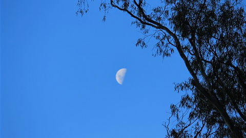 Gentle Annie Caravan And Camping Reserve - QLD Tourism 4