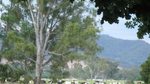 Gentle Annie Caravan And Camping Reserve - QLD Tourism 3