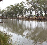 Riverbank Caravan Park - QLD Tourism