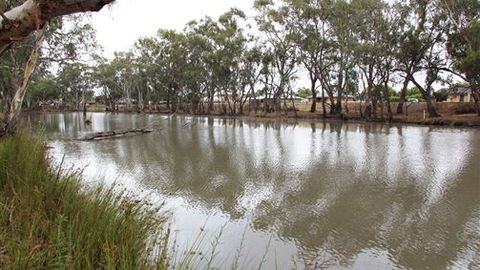 Riverbank Caravan Park - QLD Tourism 0