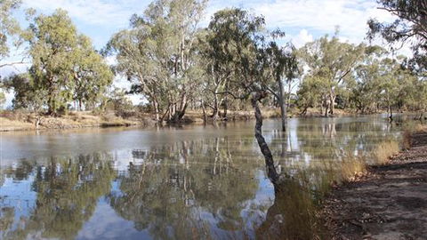 Riverbank Caravan Park - QLD Tourism 5