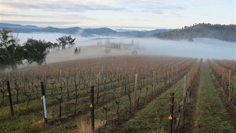 Valley View Caravan Park - QLD Tourism 5