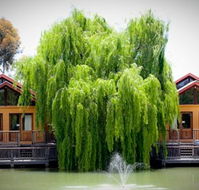 Perricoota Vines Retreat Echuca Moama - Queensland Tourism