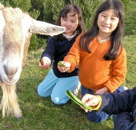 Johanna River Farm and Self Contained Cottages - QLD Tourism