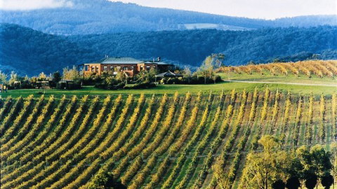 Yering Gorge Cottages - Queensland Tourism 1