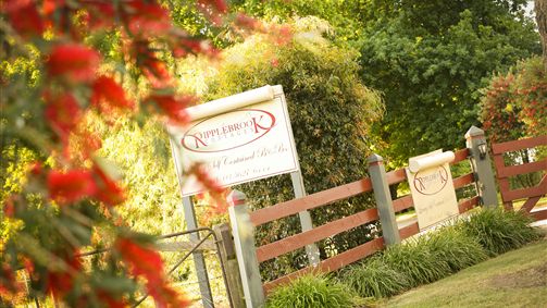  Queensland Tourism