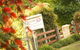 Ripplebrook Cottages - thumb 0