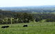 Ripplebrook Cottages - thumb 7