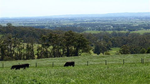 Ripplebrook Cottages - Queensland Tourism 7