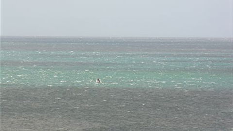 Clifftop Accommodation Portland Victoria - Queensland Tourism 7