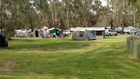 Bindaree Motel & Caravan Park - QLD Tourism 1