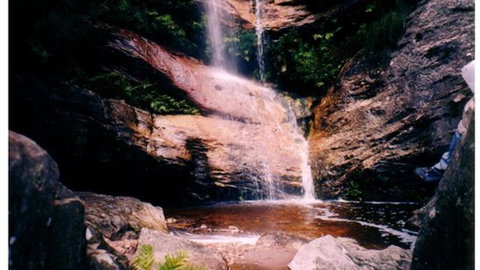 Happy Wanderer Holiday Resort - QLD Tourism 1