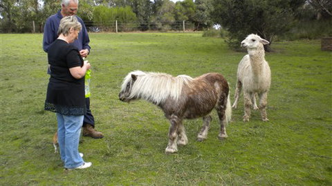 Bells Estate Great Ocean Road Cottages - QLD Tourism 1