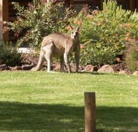 Southern Grampians Cottages - QLD Tourism