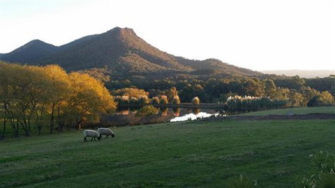 Cathedral Valley Farm - QLD Tourism 2