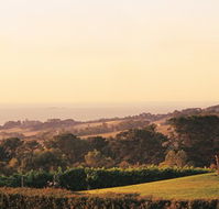 The Studio Bed and Breakfast - QLD Tourism