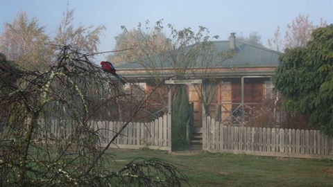 Sanctuary Park Cottages - QLD Tourism 1