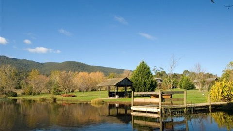 Sanctuary Park Cottages - QLD Tourism 0