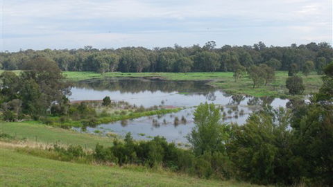 Frog Gully Cottages - QLD Tourism 3