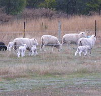Auberge Woodend - QLD Tourism