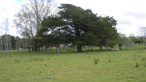 Auberge Woodend - Queensland Tourism 3