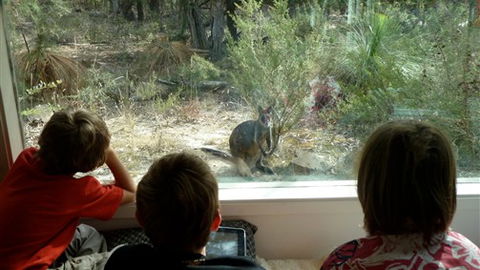 Aquila Eco Lodges - QLD Tourism 4