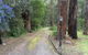 Emerald Creek Cottages - thumb 5
