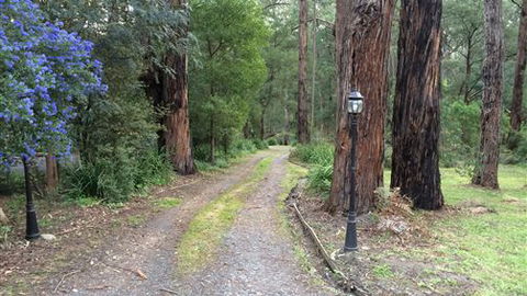 Emerald Creek Cottages - QLD Tourism 5