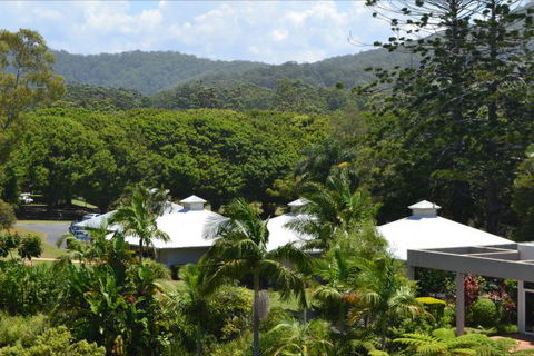 Absolute Beachfront Opal Cove Resort - QLD Tourism 9