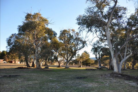 Braemar Bay Holiday Park - QLD Tourism 5