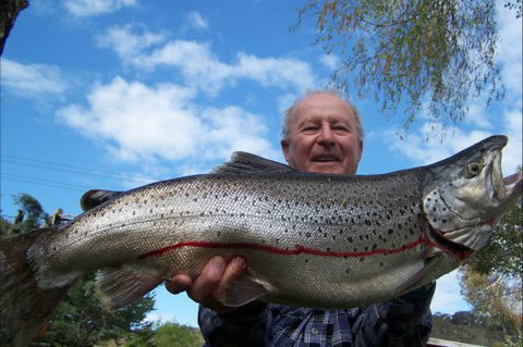 Braemar Bay Holiday Park - QLD Tourism 7