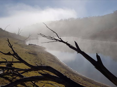 Braemar Bay Holiday Park - QLD Tourism 8