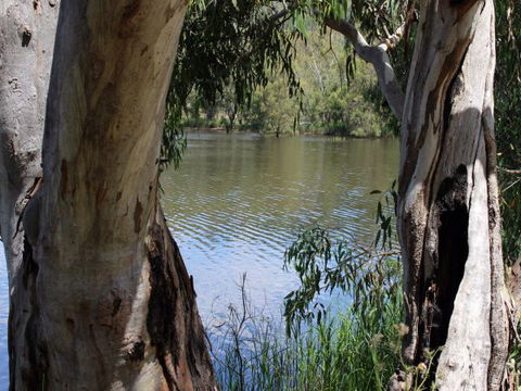 Bumberry Dam - QLD Tourism 1
