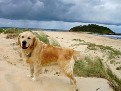 Castaway Holiday Units - Queensland Tourism 1