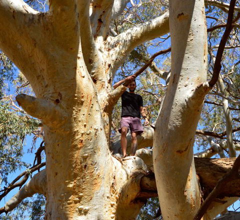 Eldee Station Accommodation, Caravan And Campsites - QLD Tourism 5